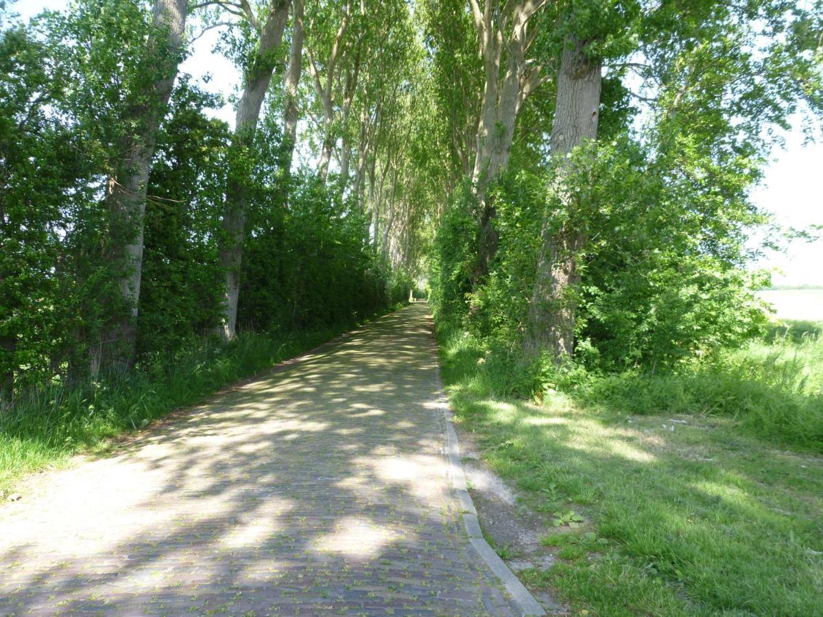 Vakantiewoning Domburg Do31 Esterno foto